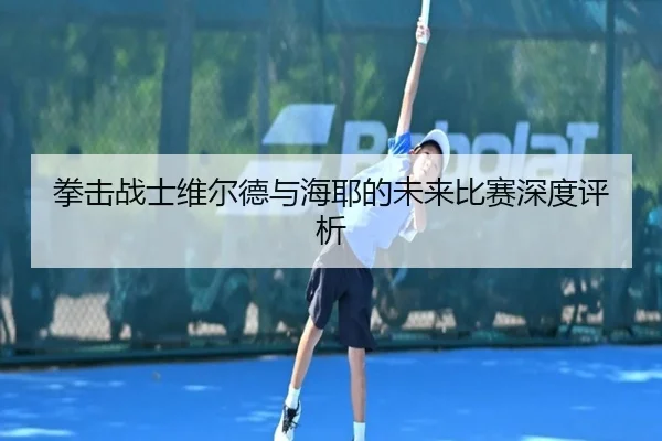 拳击战士维尔德与海耶的未来比赛深度评析